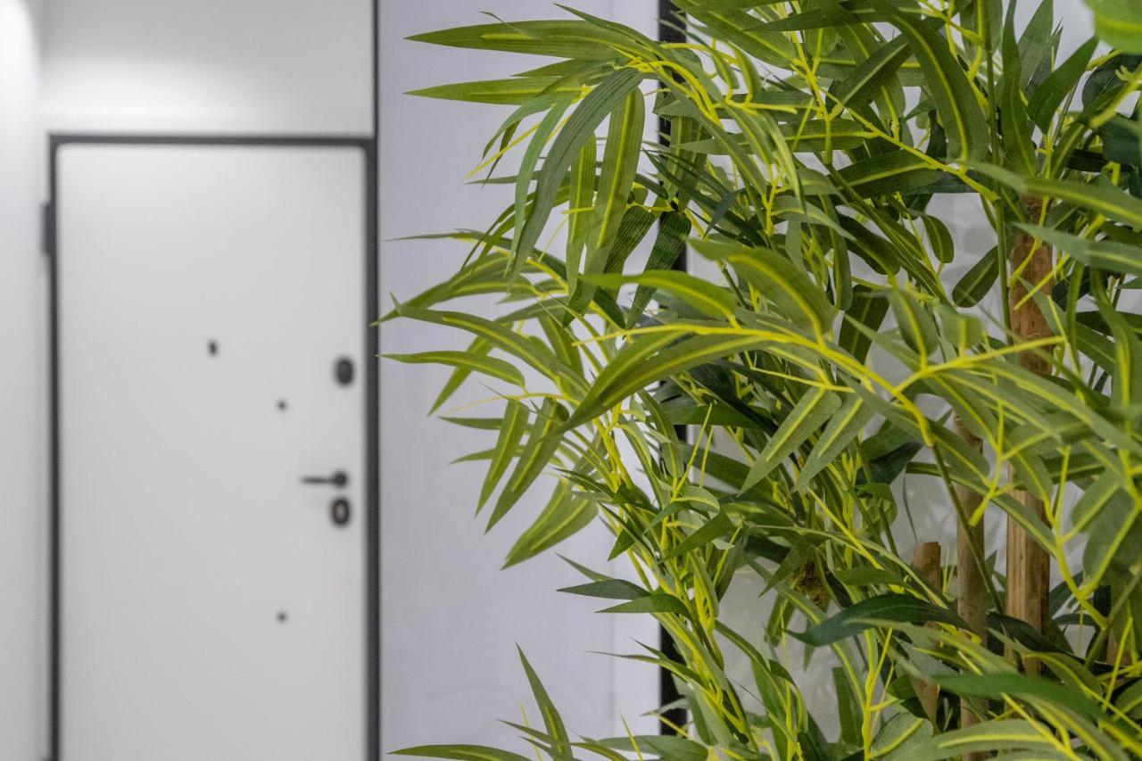 Luxury Studio Apartment In The Heart Of Atény Exteriér fotografie